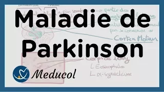 La Maladie de Parkinson: définition, symptôme, traitement