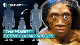 5 Incredible Human Species That Went Extinct