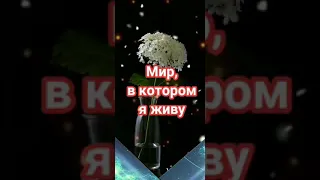 Радуйтесь каждому дню.Живите долго и счастливо.Мир прекрасен💖💖💖💐💐💐