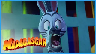 Marty is Spooked! 🎃 | Madagascar: A Little Wild | Mini Moments