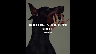 Rolling in the deep: Adele (sped up)