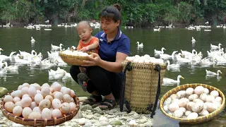 Single Mom Harvest Duck Eggs Goes to the market sell & Gardening - Live with nature