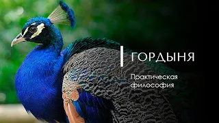 ГОРДЫНЯ. Практическая философия. Психология. Доктор Леви Шептовицкий