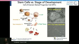 Retinal Progenitor Cells forTreatment of Retinitis Pigmentosa