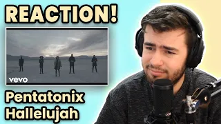 AUSTRALIAN REACTS to Pentatonix - Hallelujah (Official Video)