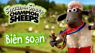 Biên soạn tập đầy đủ 1-7 | Championsheeps | Những Chú Cừu Thông Minh [Shaun the Sheep]