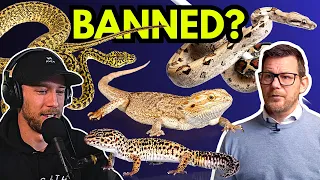 Are REPTILES being BANNED? | Tony Wigley, RRK