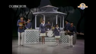 NEW * Indian Lake - The Cowsills {Stereo} Summer 1968