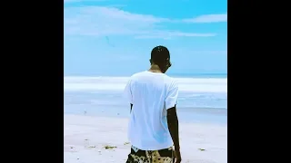 WizKid - Fever (Video)