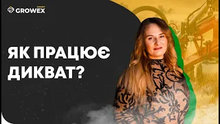 ДИКВАТ. ЯКИЙ ПРИНЦИП РОБОТИ?