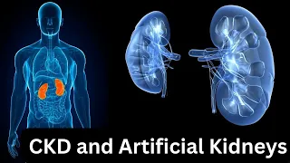 CKD and Artificial Kidneys: The Road to a Kidney Disease-Free World