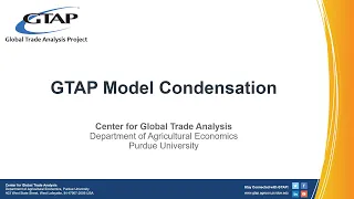 GTAP Model Condensation