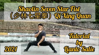 Wushu / Kungfu Tutorial - Shaolin Seven Star Fist （少林七星拳） by Lianto Salie