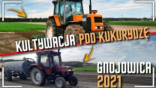 Gnojowica i kultywacja pod Kukurydzę 2k21 *Case 4230 & Renault 133-54 *