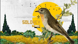 Go_A - Solovey (Closefly Remix)