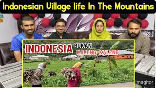 Reaction On Indonesian village life in the mountains.