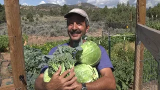 Let Food Be thy Medicine: Best Fall Storage tips for garden veggies