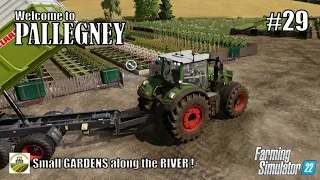 Small GARDENS along the RIVER | #29 PALLEGNEY | FS22 | PlayStation 5