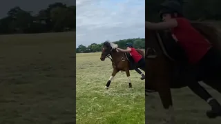 Vaulting on a large mounted games pony!
