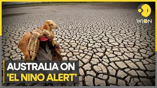 El Nino could hit Wheat production in Australia | WION Climate Tracker