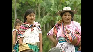 La coca, la plante sacrée de Bolivie