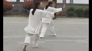 Wudang Kung Fu-Ba Gua Zhang -Group Performance