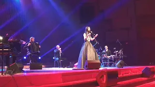 Božo Vrećo - Pandora - 12.02.2018. Zagreb (live)