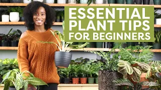 Essential Plant Tips for Beginners! | HGTV Handmade