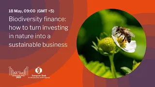 Biodiversity finance: how to turn investing in nature into a sustainable business