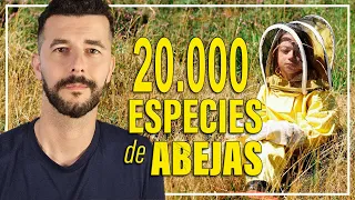 20.000 especies de abejas | Cine LGTB+ | Crítica - Review