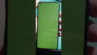 Xiaomi Mi 11 lite 5G NE Display Problem Issue Fix **NEED HELP**