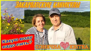 Курорт Поляна🔴Закарпатье🔴Цены,Отели,Услуги🔴Видео обзор🔴Почему нужно пить?🔴Жива🔴 Поляна Квасова вода🔴