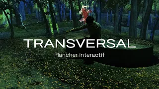 Plancher interactif / Rêver l'Asie