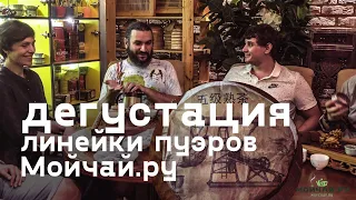 Выбор лучшего чая. Дегустация пуэров Мойчай.ру в Ростове-на-Дону