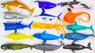 WHALES & Co. BIG Complete Set "unboxing" Squishy DeAgostini