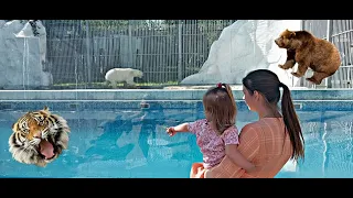 Зоопарк Пензы: что скрывает этот загадочный уголок? Пенза