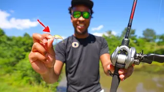 BFS Fishing For BIG BASS in Neighborhood Ponds (Micro Lure Fishing)