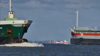 IMPRESSIVE CARGO SHIP// SHIPSPOTTING in NETHERLANDS// WATERWAY February 2023