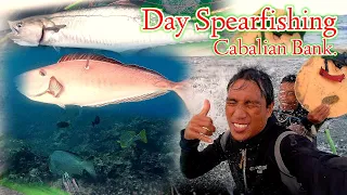 BACK TO DAY SPEARFISHING!! SPANISH MACK &  UNICORN  FISH.|| Gabby Ramal