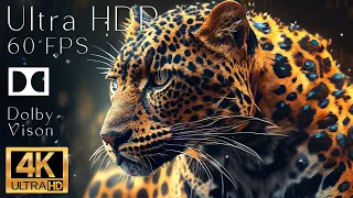 4K HDR 120fps Dolby Vision with Animal Sounds (Colorfully Dynamic) #21