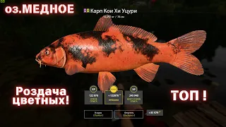 Russian Fishing 4 оз.Медное  ФАРМИМ  РЕДКИХ ! Одни Редкие! Точка ТОП!!!