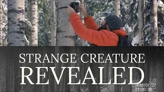 STRANGE CREATURE Caught on Tape REVEALED! | Mountain Beast Mysteries Episode 64
