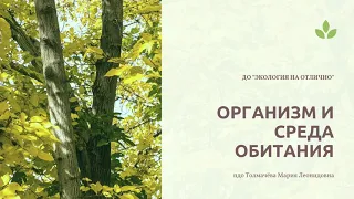 Подготовка к олимпиаде по экологии. Тема: "Организм и среда обитания"