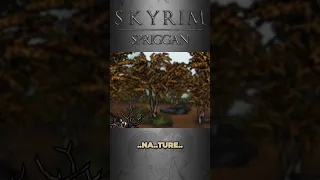 Senile Scribbles: Skyrim - Spriggan