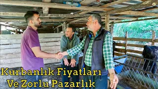 Zor Oldu Ama İyi Oldu! | Kurbanlık Pazarlığı | 2024 Kurbanlık Fiyatları