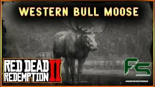 Red Dead Redemption 2 - Western Bull Moose Location - Roanoke Valley / Bandywine Drop