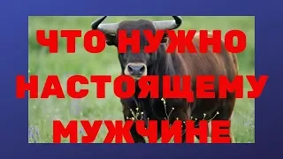 Настоящий мужчина Основные характеристики