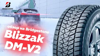 Обзор шин Bridgestone Blizzak DM-V2 (Народный тест-драйв)