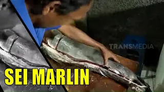 Kepoin Cara Pembuatan Sei Ikan Marlin | RAGAM INDONESIA (06/11/20)