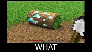 Minecraft wait what meme part 227 realistic Diamond Grass